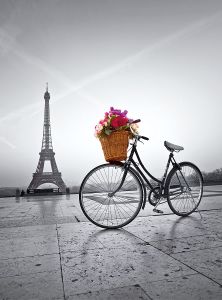 CLE35014 - 500 Piece Puzzle Romantic Walk in Paris