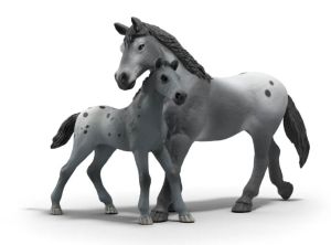 SHL42776 - Lisa's Tournament Training