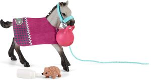SHL42534 - Playful foal