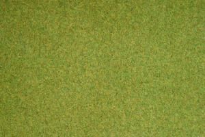 NOC00260 - Carpet grass mat spring meadow