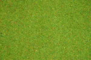 NOC00270 - Carpet flowered grass mat