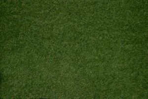 NOC00230 - Carpet grass mat dark green