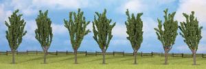 NOC25098 - 7 Poplars 12 cm