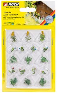 NOC14056 - Field and wild flowers