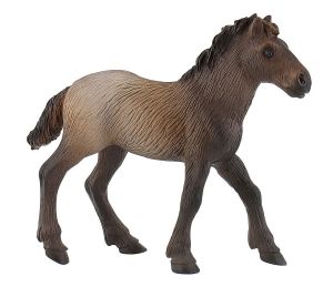 BUL62734 - Camargue foal
