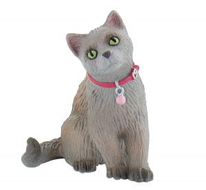 BUL66372 - Russian Cat