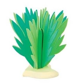 BUL81088 - Shrub - 14 cm