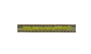HEK1812 - Pack of 10 autumn grass strips 10 cm