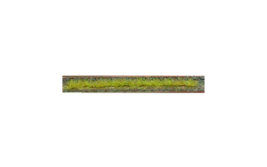 HEK1810 - Pack of 10 spring grass strips 10 cm