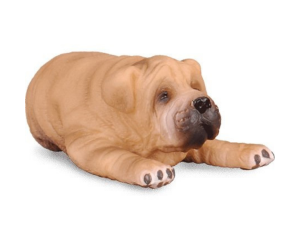 COLL88194 - Sharpei Puppy Lying