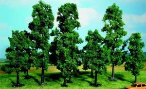 HEK1323 - 10 beech trees 10-18 cm