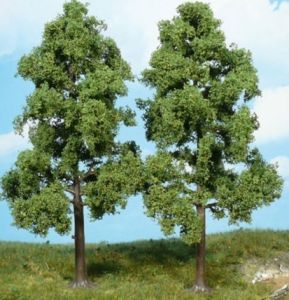 HEK1712 - 2 beech trees 18 cm