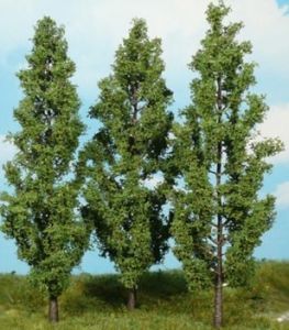 HEK1718 - 3 poplar trees 18 cm