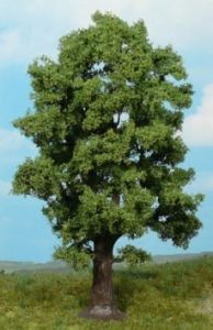 HEK1740 - Oak tree 18 cm