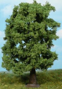 HEK1741 - Chestnut tree 20 cm