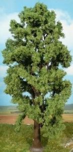 HEK1743 - Sycamore maple tree 35 cm