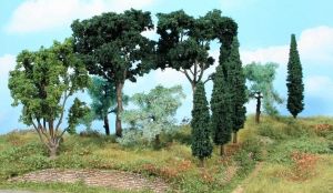 HEK1774 - 11 Mediterranean trees 8-17 cm