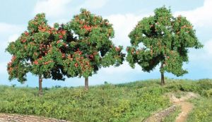HEK1929 - 3 Apple trees 13 cm