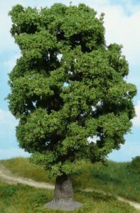 HEK1940 - Oak 18 cm