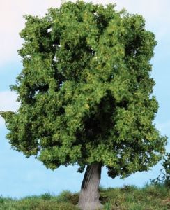 HEK1945 - Gnarled oak 18 cm