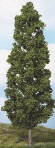 HEK1982 - Beech trees 27 cm