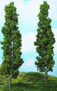 HEK1983 - 2 poplar trees 27 cm