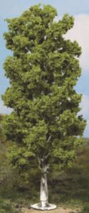 HEK1984 - Birch tree 20 cm