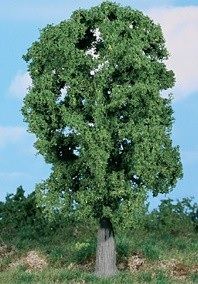 HEK1987 - Oak 20 cm