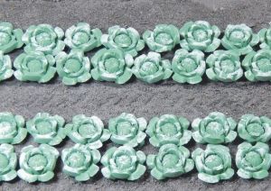 JUW23364 - 72 cabbage