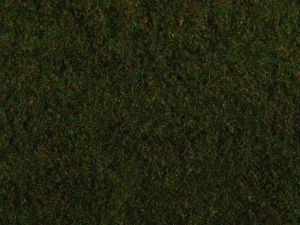 NOC07281 - Foliage of wild grass, dark green 20 x 23 cm