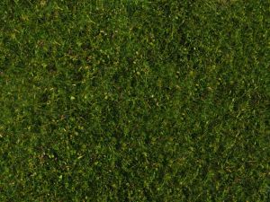 NOC07291 - Meadow foliage, medium green 20 x 23 cm