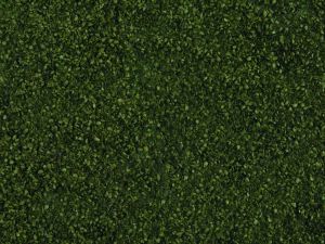 NOC07301 - Foliage of leaves, dark green 20 x 23 cm