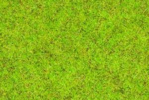 NOC08300 - Medium green grass - 2.5 mm - 20 g
