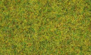 NOC08310 - Grass of summer meadow - 20 g - 2.5 mm