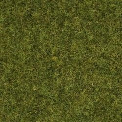 NOC08312 - Grass of pre - 20 g - 2.5 mm