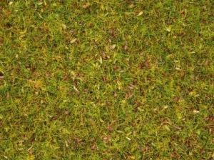 NOC08330 - Grass with flowers - 2.5 mm - 20 g