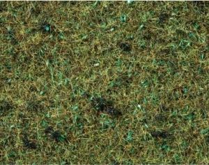 NOC08350 - Forest grass - 2.5 mm -20 g