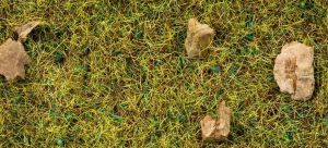 NOC08360 - Mountain grass - 2.5 mm - 20 g