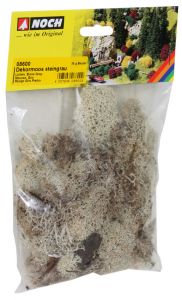 NOC08600 - Lichen stone gray