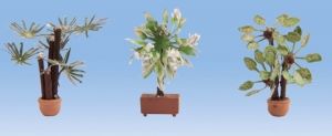 NOC14023 - Mediterranean plants