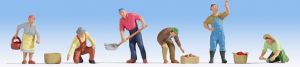 NOC15613 - Seasonal pickers