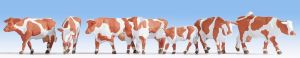 NOC15726 - Montbéliarde cow