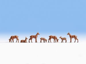 NOC15740 - Roe deers