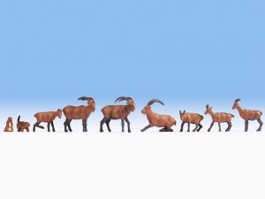 NOC15742 - Alpine animals