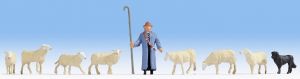 NOC15748 - Sheep with Shepherd