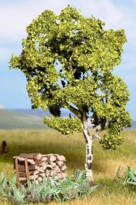 NOC21640 - Birch - 11.5 cm