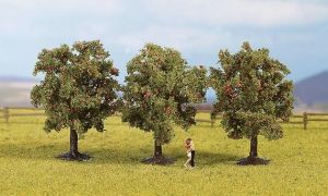 NOC25113 - 3 apple trees - 8 cm