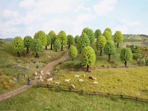 NOC26901 - 10 Hardwood trees - 5 - 9 cm