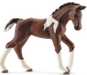 SHL13758 - foal trakehnen