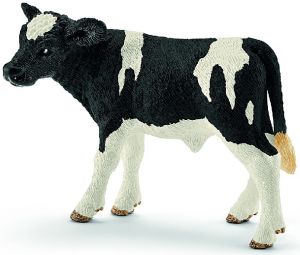 SHL13798 - Holstein calf